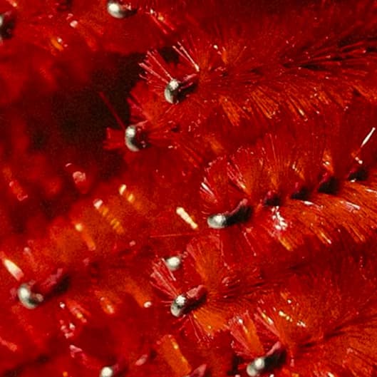 The Clean Girl at Lechelle Beauty & Bodycare in OH, OH